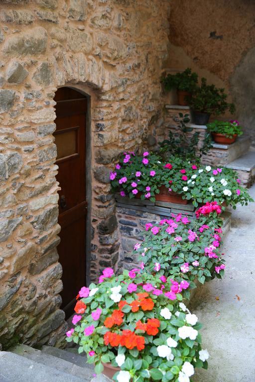 La Meridiana Casale Pignone Værelse billede
